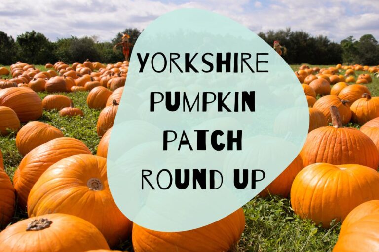 yorkshire pumpkin patch round up